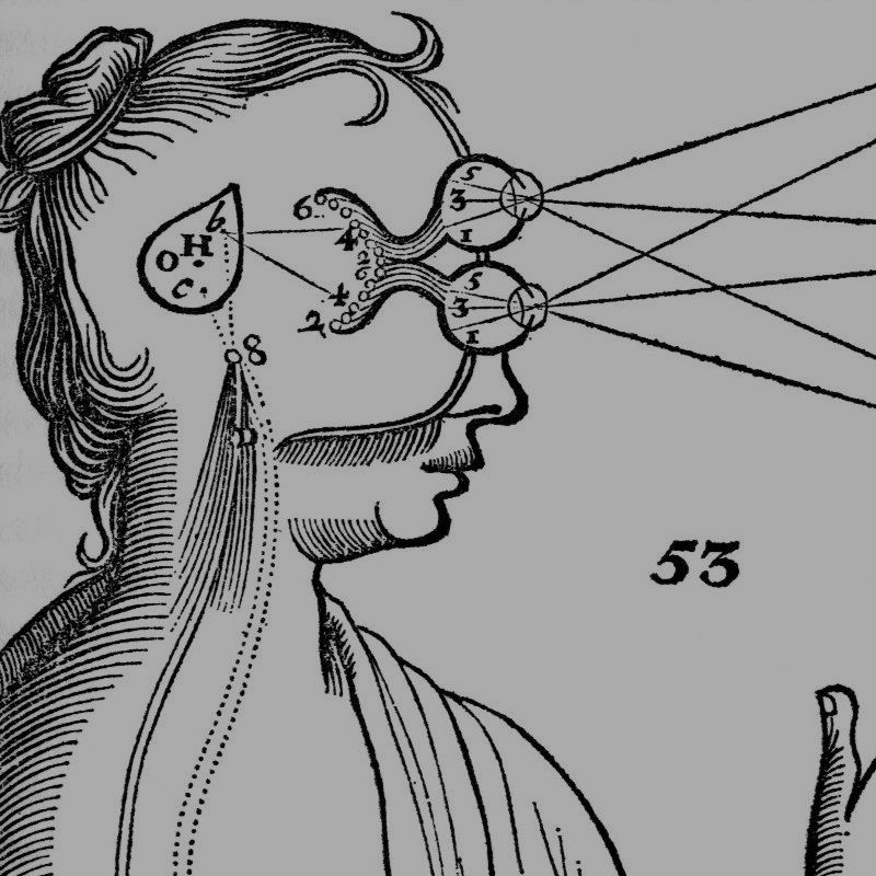 Abbildung aus Descartes' Mediationen (1641)